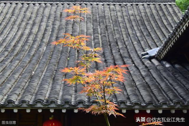導讀:農村蓋房用樹脂瓦適合嗎?聽完行家的分析,恍然大悟