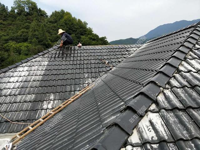 30元一平的樹脂瓦省錢又耐用?網(wǎng)友:吃飽沒事干,用一年就得換